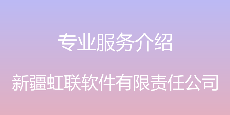 专业服务介绍 - 新疆虹联软件有限责任公司